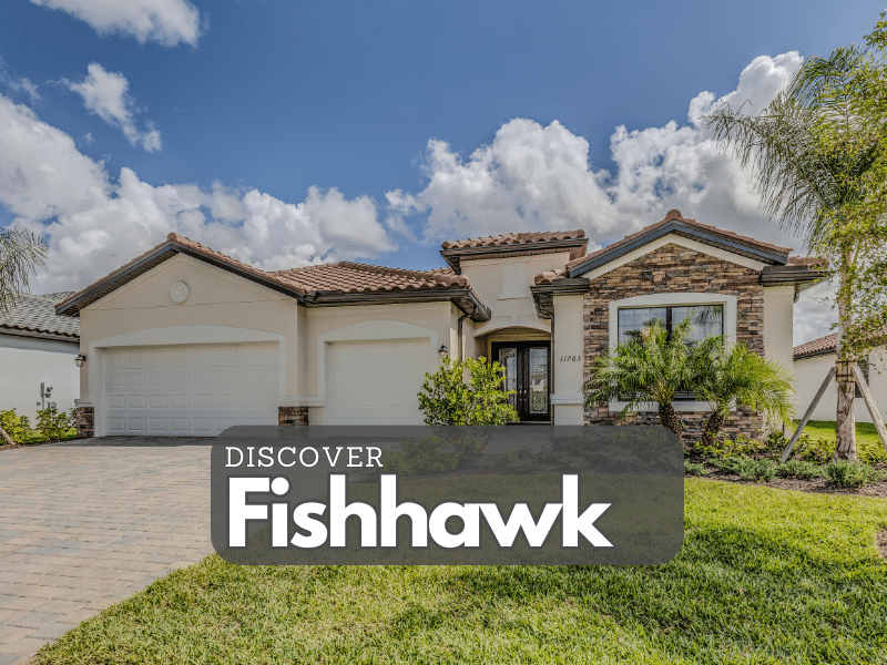 Fishhawk Florida homes