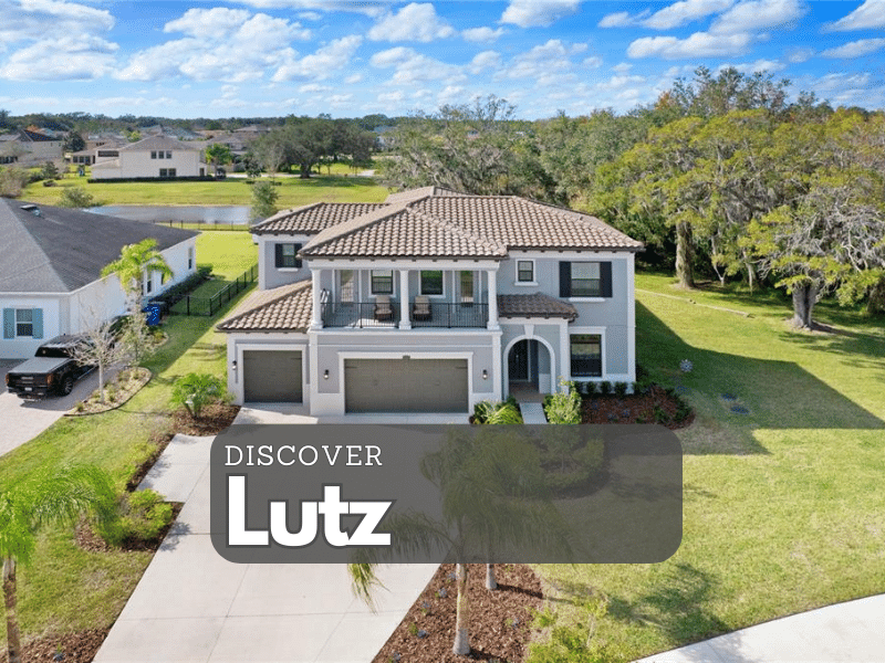 Lutz Florida homes