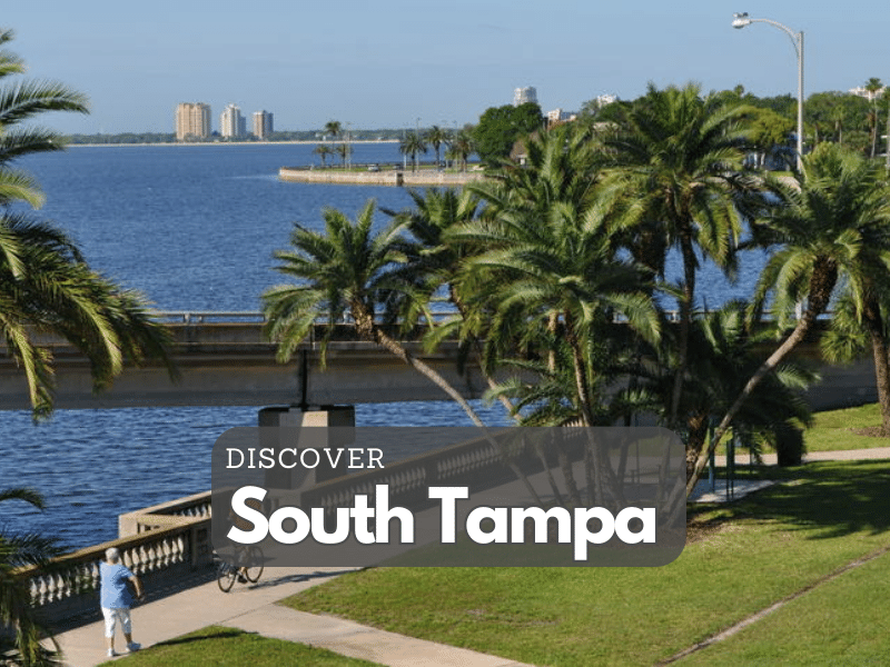 South Tampa Florida homes